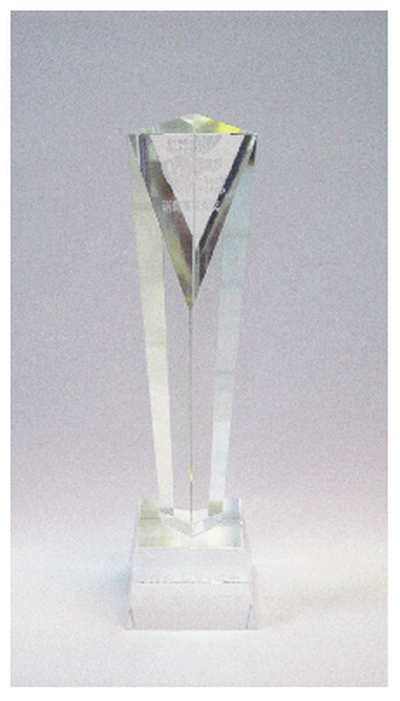 荣誉中国十大广告策划专家